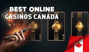 Discover the Best Online Casinos of 2023 -200977870